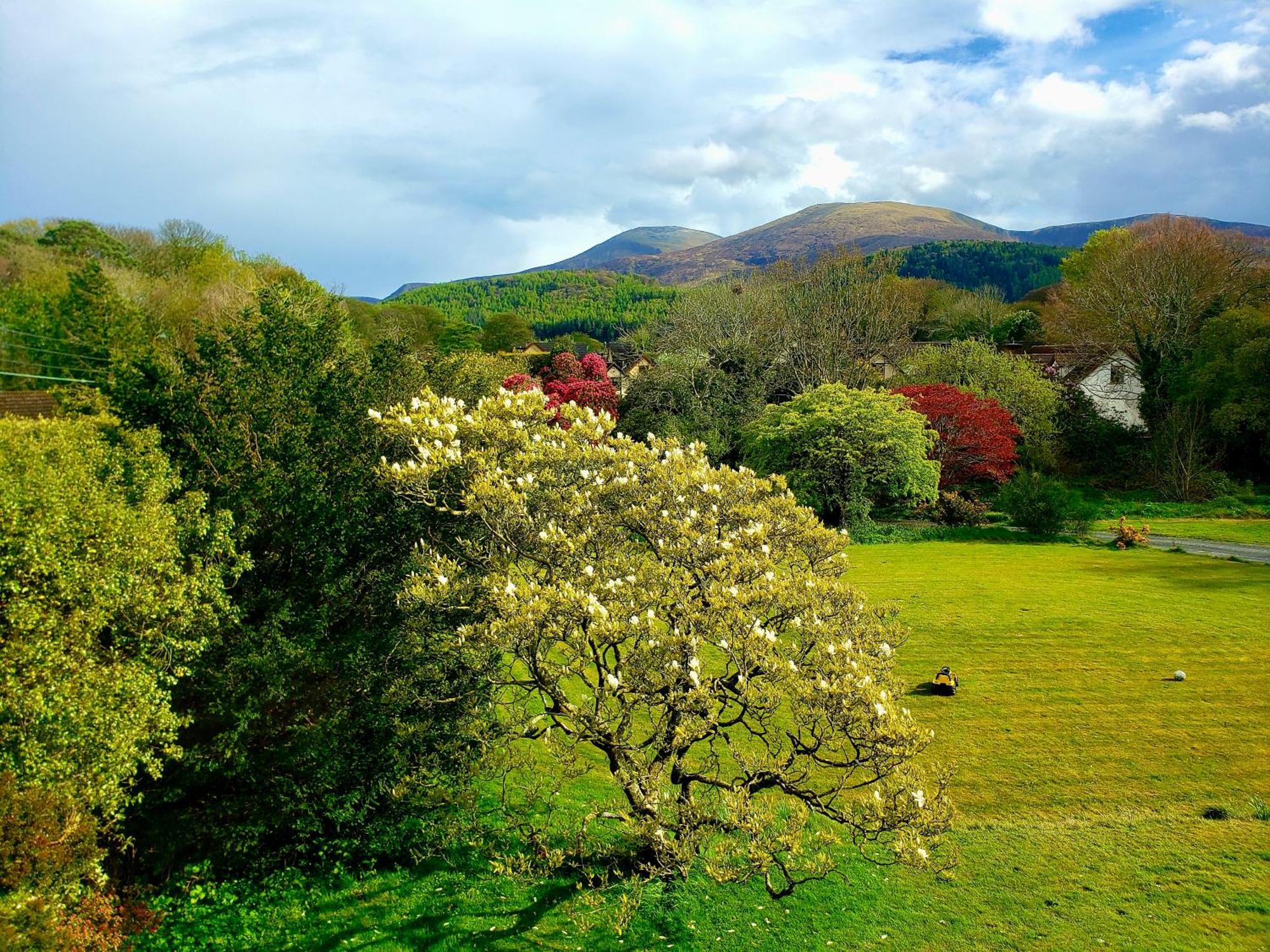 Bryansford Cottage Екстер'єр фото